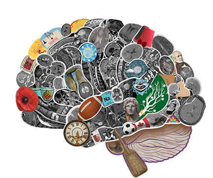 Cover of the 11th edition of Greenberg's Handbook of Neurosurgery