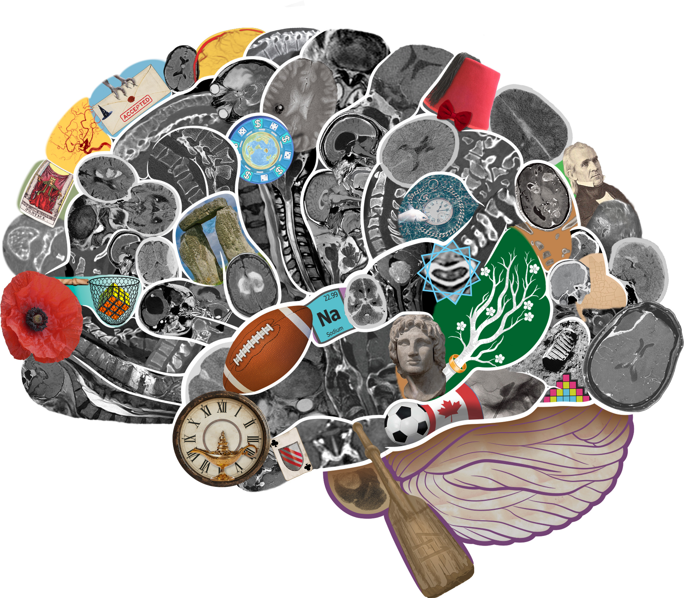 High-resolution cover of the 11th edition of Greenberg's Handbook of Neurosurgery, showing a brain composed of a collage of medical and non-medical images