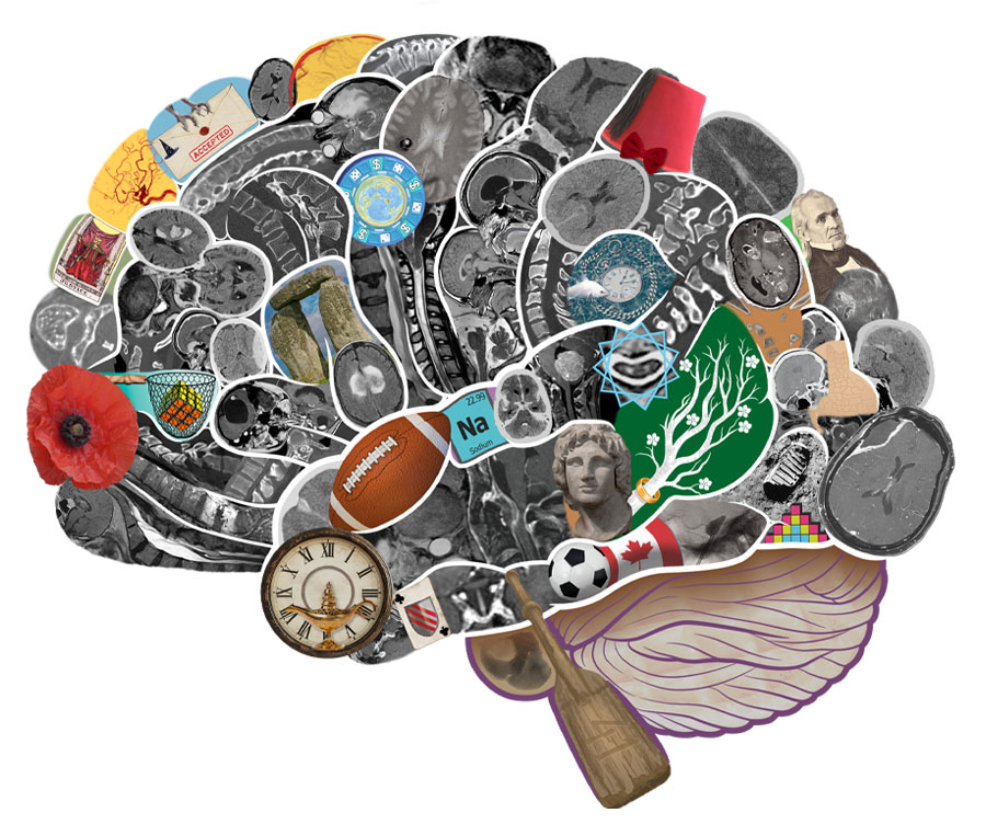 Cover of the 11th edition of Greenberg's Handbook of Neurosurgery, showing a brain composed of a collage of medical and non-medical images